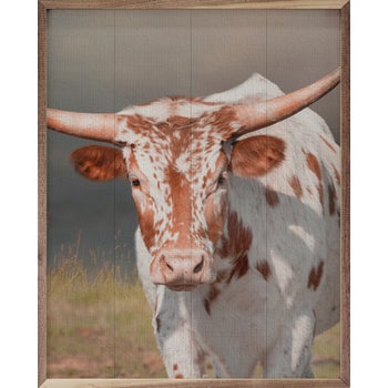 Speckled Longhorn Cow